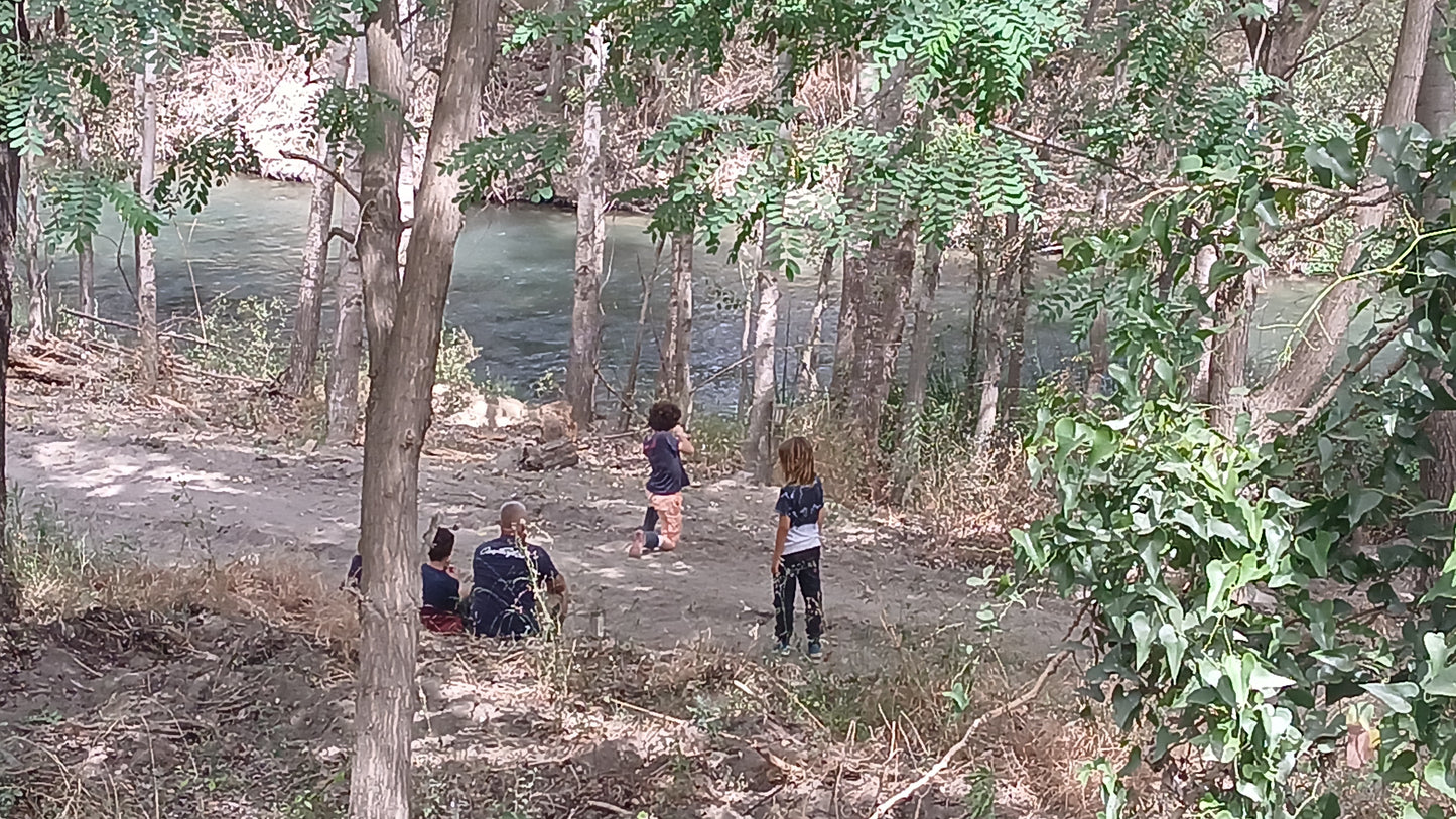 Teen Bushcraft & Survival Camp (12-17)
