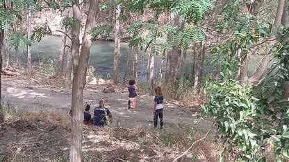 Teen Bushcraft & Survival Camp (12-17)
