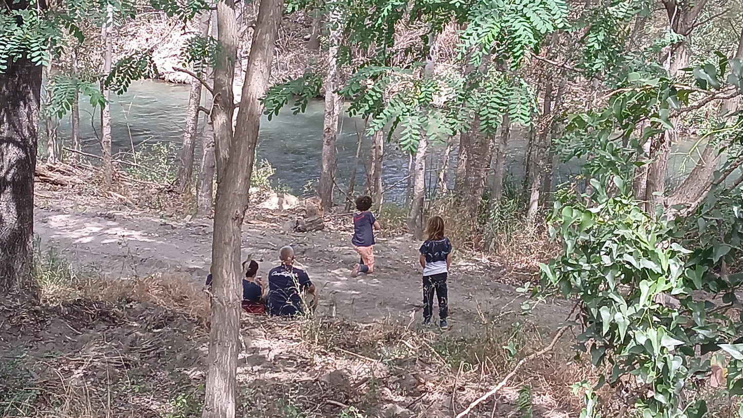 Teen Bushcraft & Survival Camp (12-17)