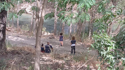 Teen Bushcraft & Survival Camp (12-17)